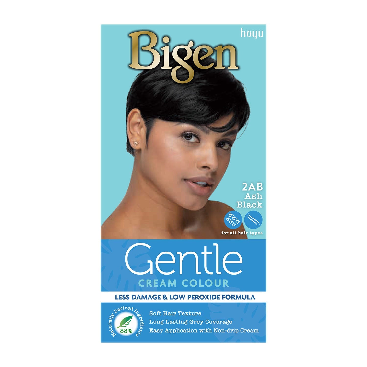 Bigen Gentle Cream Colour - 2AB - Ash Black Bigen